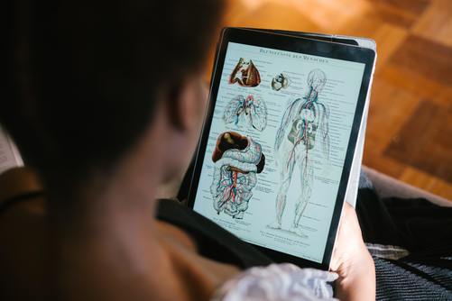 Three Gaming Websites Improve Anatomy and Imaging Skills Three Gaming Websites Improve Anatomy and Imaging Skills